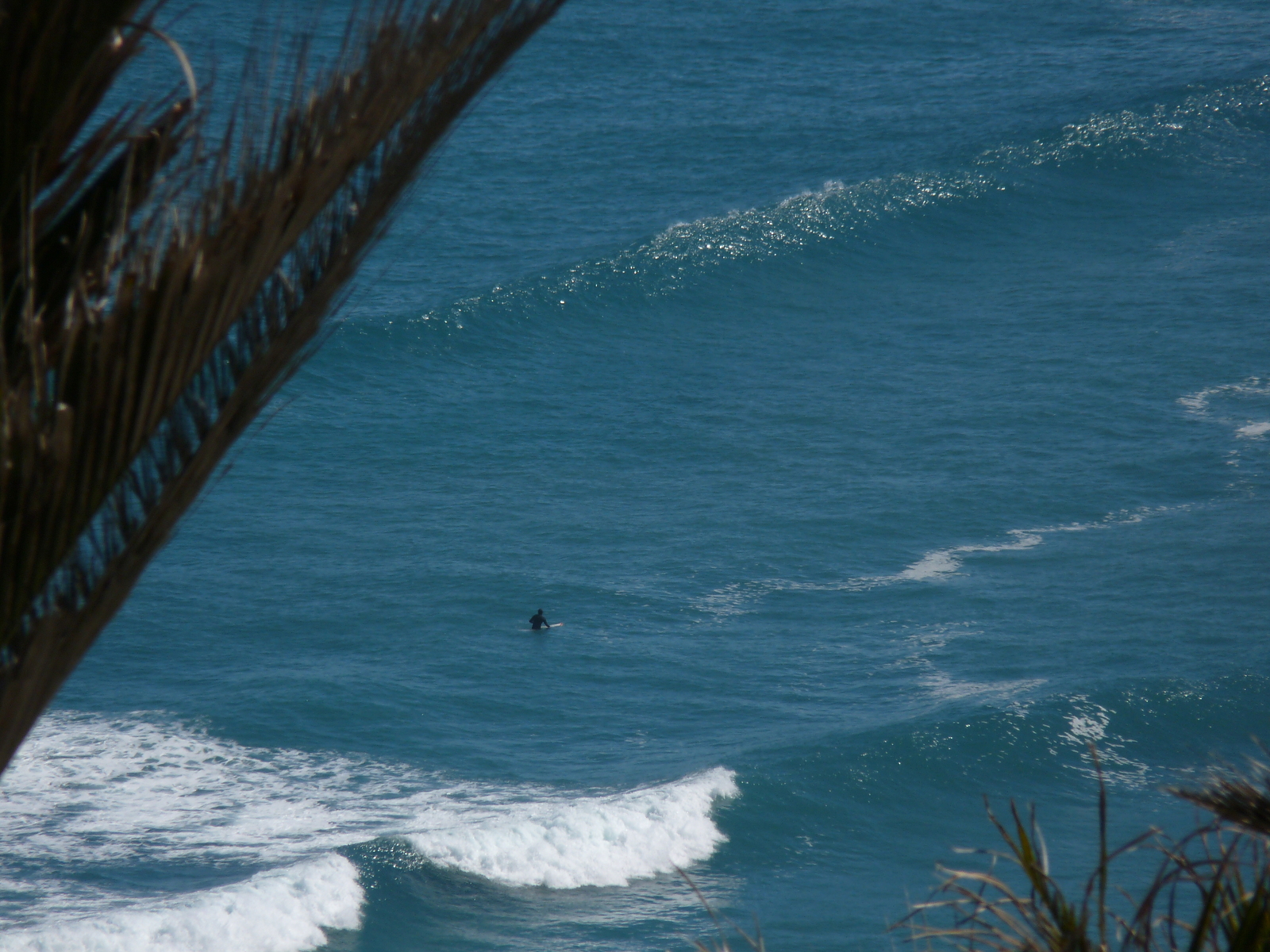 Kaihoka, Fergusons Beach