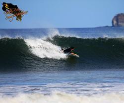 Tamarindo photo