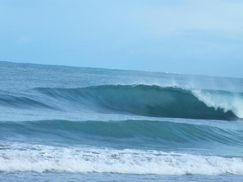 Watermans Barrels