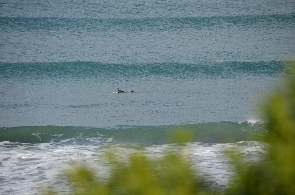 Grand Final Day Crunchies 2012, Point Leo