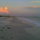 Honeymoon Island