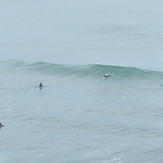 glass, Ulladulla Bommie