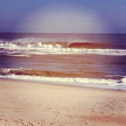 Assateague photo