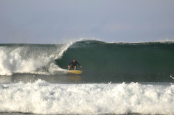 single fining, Punta Conejo photo