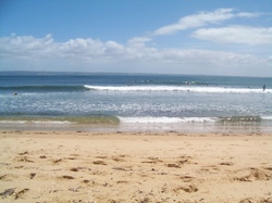 cat bay summer, Cat Bay (Shelly Beach) photo