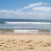 cat bay summer, Cat Bay (Shelly Beach)