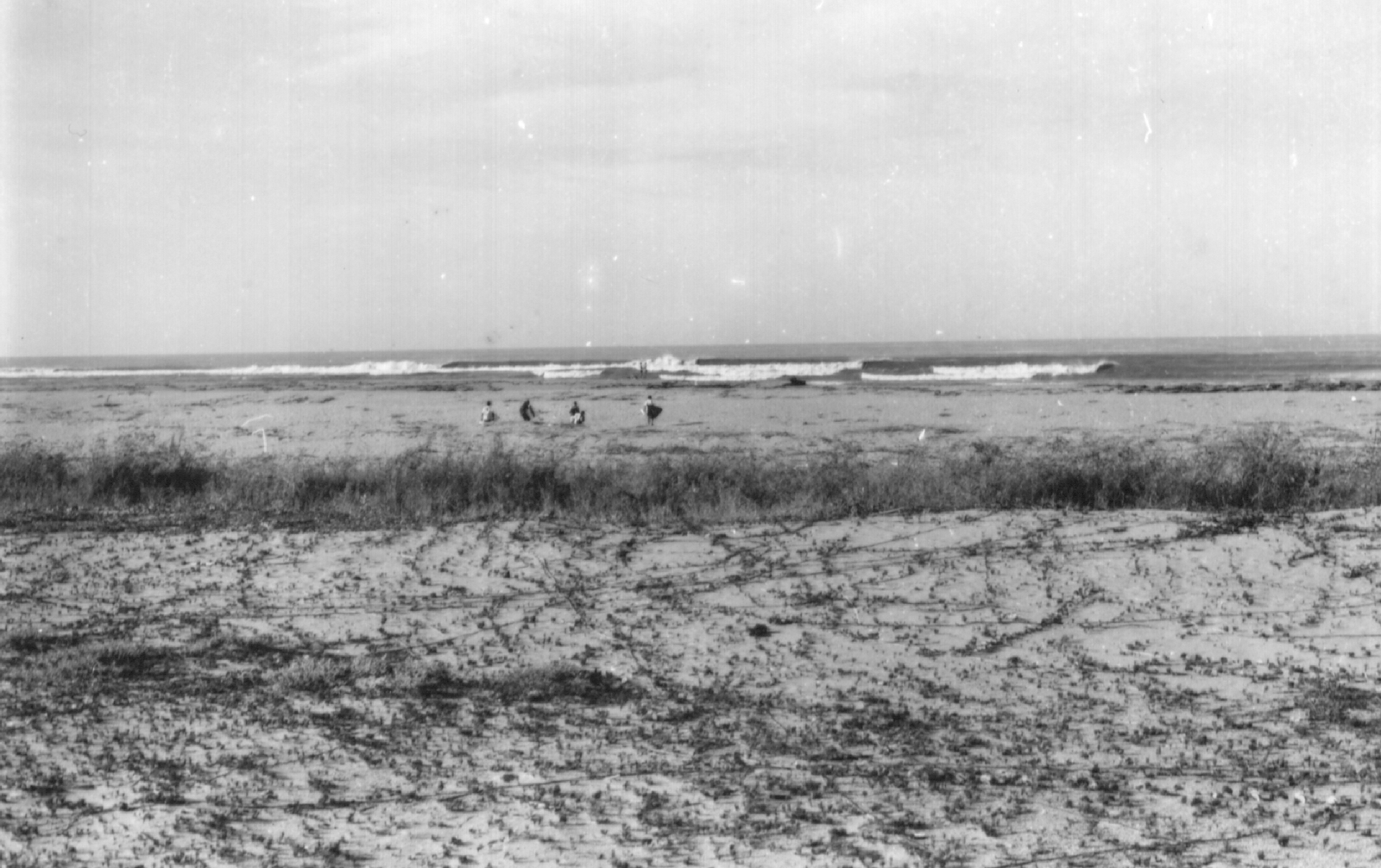 MOUTH OF THE RIVER IN REGENCIA