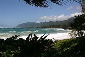 Pounders, Poundeers Beach