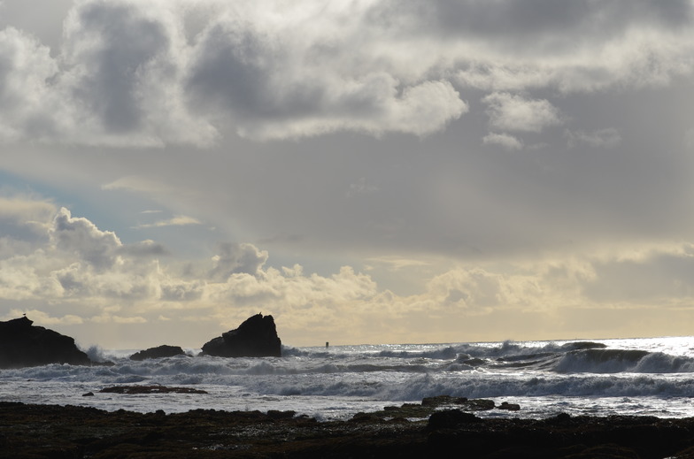 Mavericks