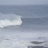 COLOMO, Punta de Lobos