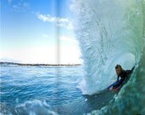 Fence (Port Elizabeth) surf break