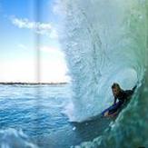 JP Visser Pitted, Fence (Port Elizabeth)