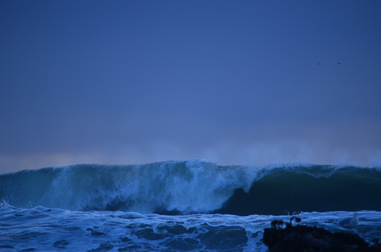 Mavericks