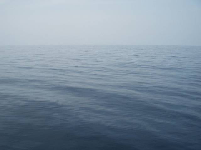 lol there are never any waves here don't bother!!, Sealers Cove (Wilsons Promontory)