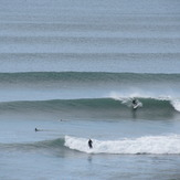 Summer swell, Bird Rock