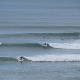 Bird Rocks little brother - summer swell, Sparras