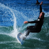 Cut Back, Oceanside Harbor