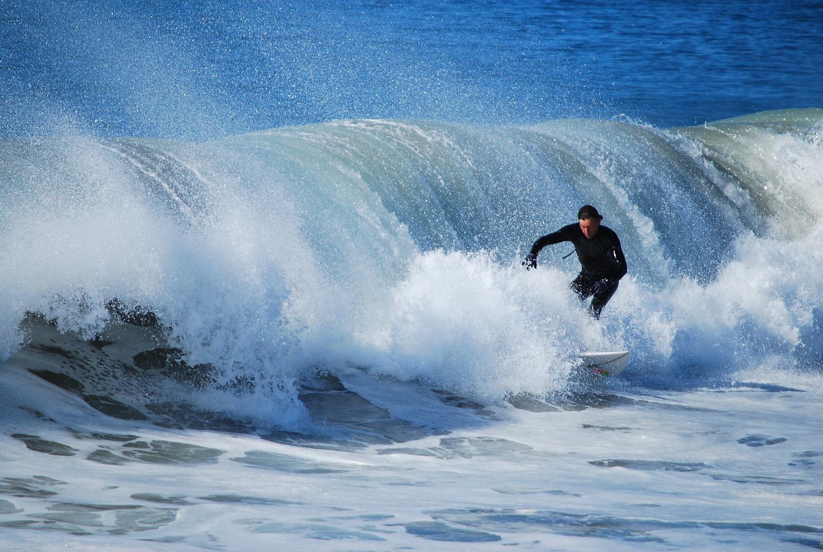 Hang On, Oceanside Harbor