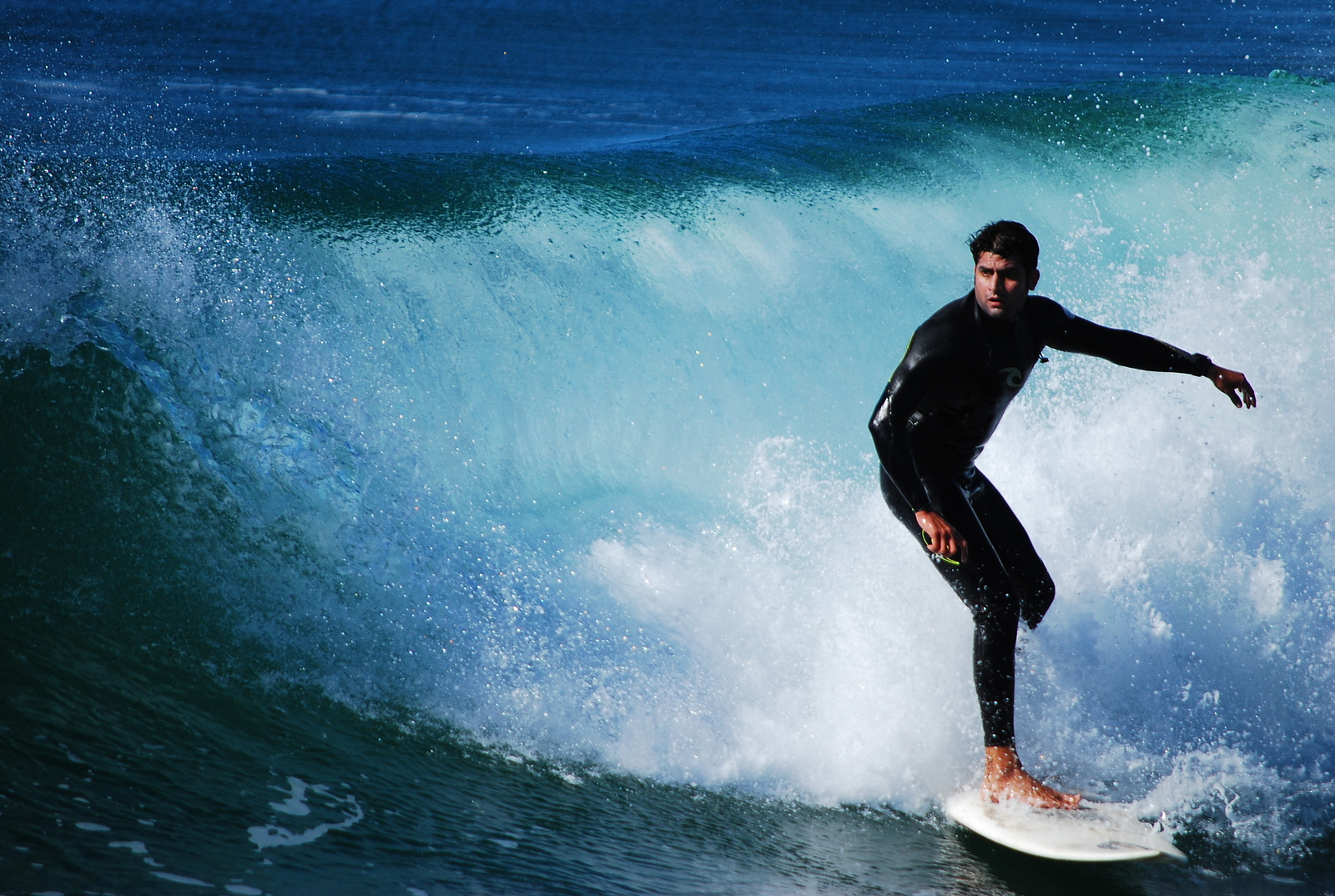 Focus, Oceanside Harbor