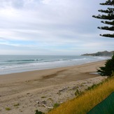 Empty Pines, Wainui Beach - Pines