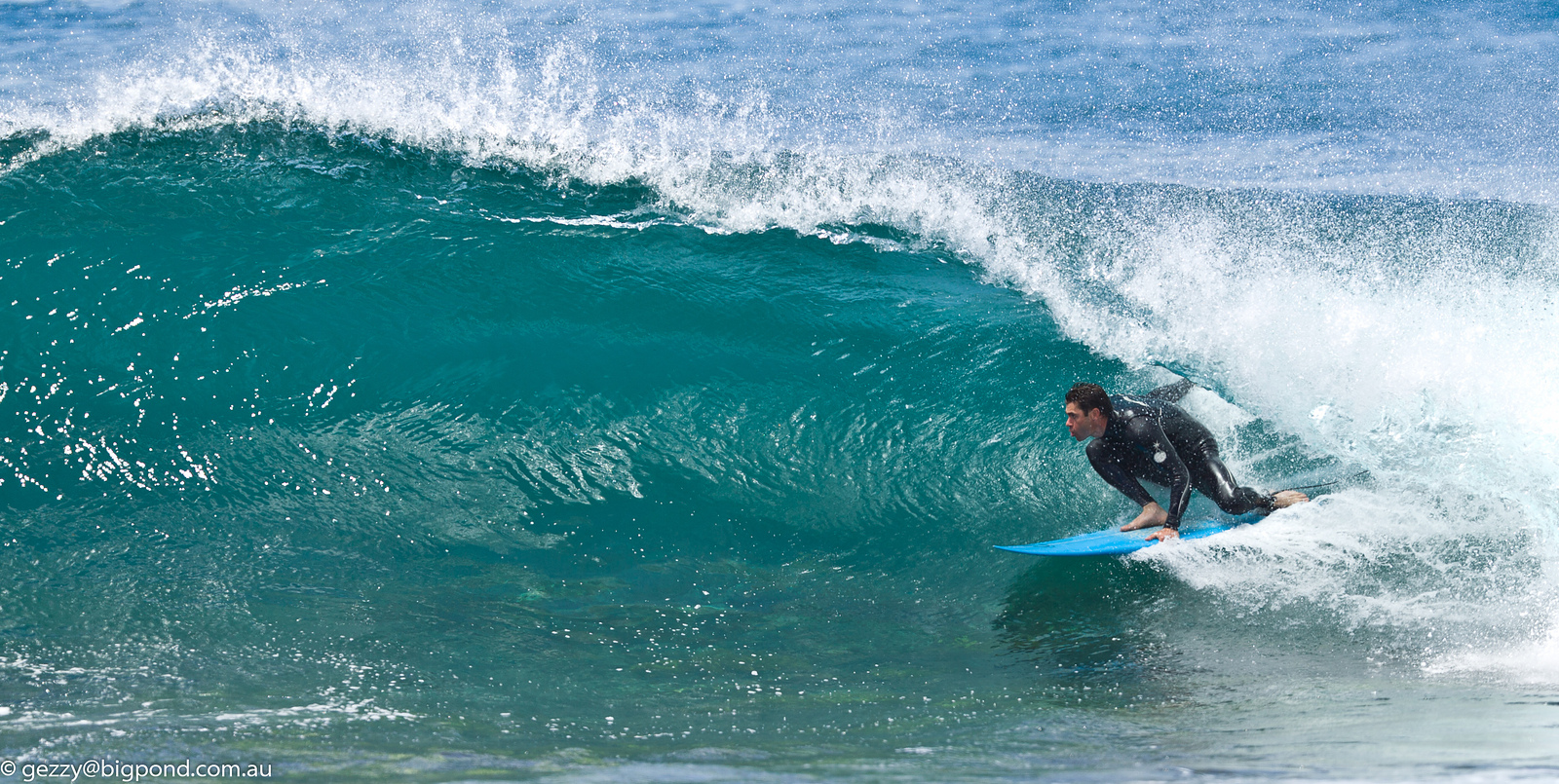 Guillotines South Coast NSW