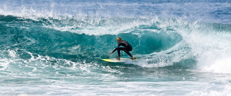 Guillotines, South Coast NSW