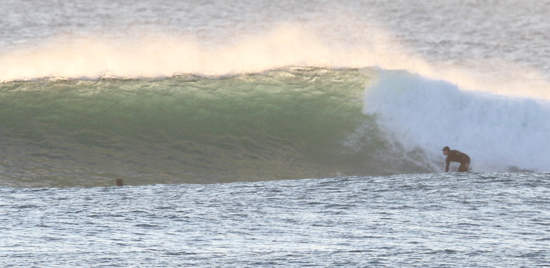 Moffats winter swell, Dickys