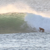 Moffats winter swell, Dickys