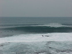 Express Bomb., Express Point photo