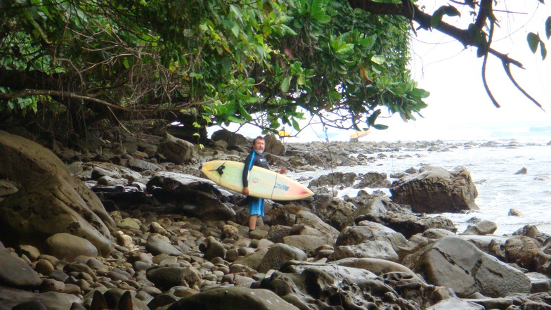 jungle and reef