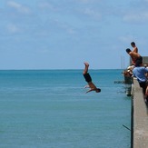 Wharf fun, Tolaga Bay