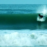 Bay Walls, Te Awanga