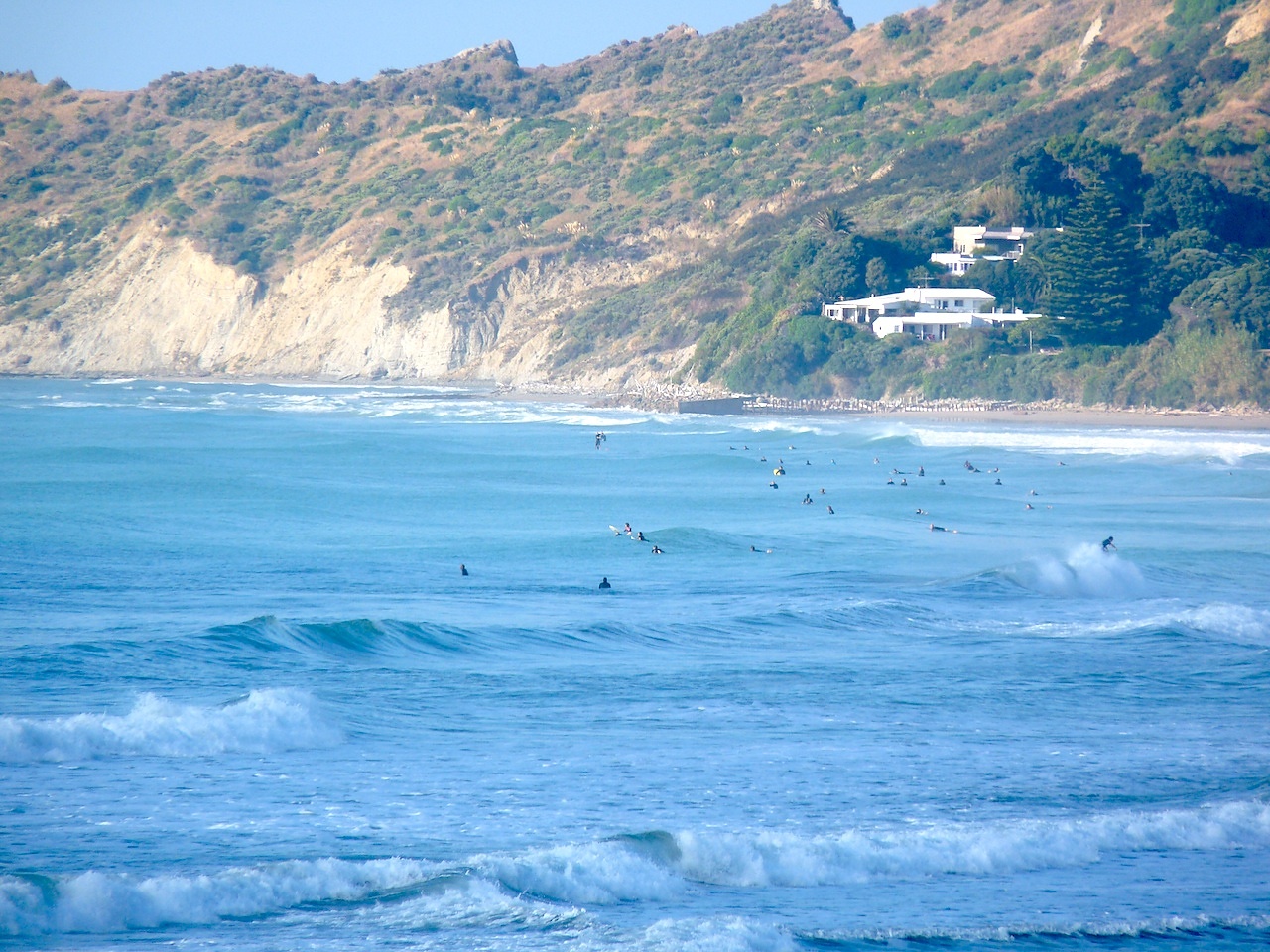 Crowded Stockroute, Wainui Beach - Stockroute