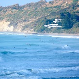 Crowded Stockroute, Wainui Beach - Stockroute