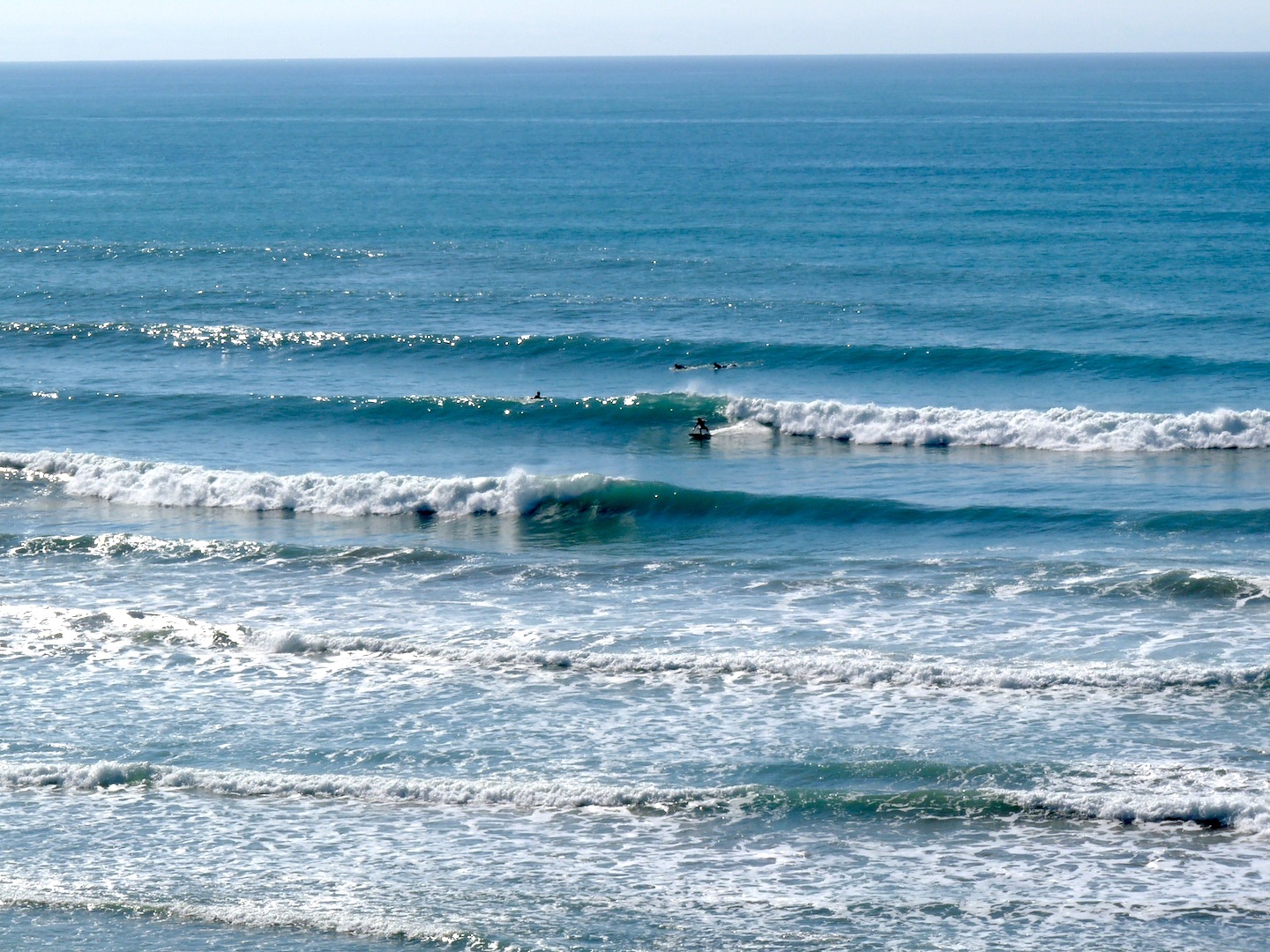 Lefts and rights, Makorori Centre