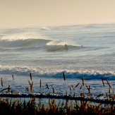 Chalet, from Pines, Wainui Beach - Whales