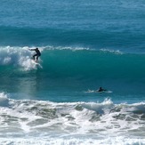 Pines high tide, Wainui Beach - Pines