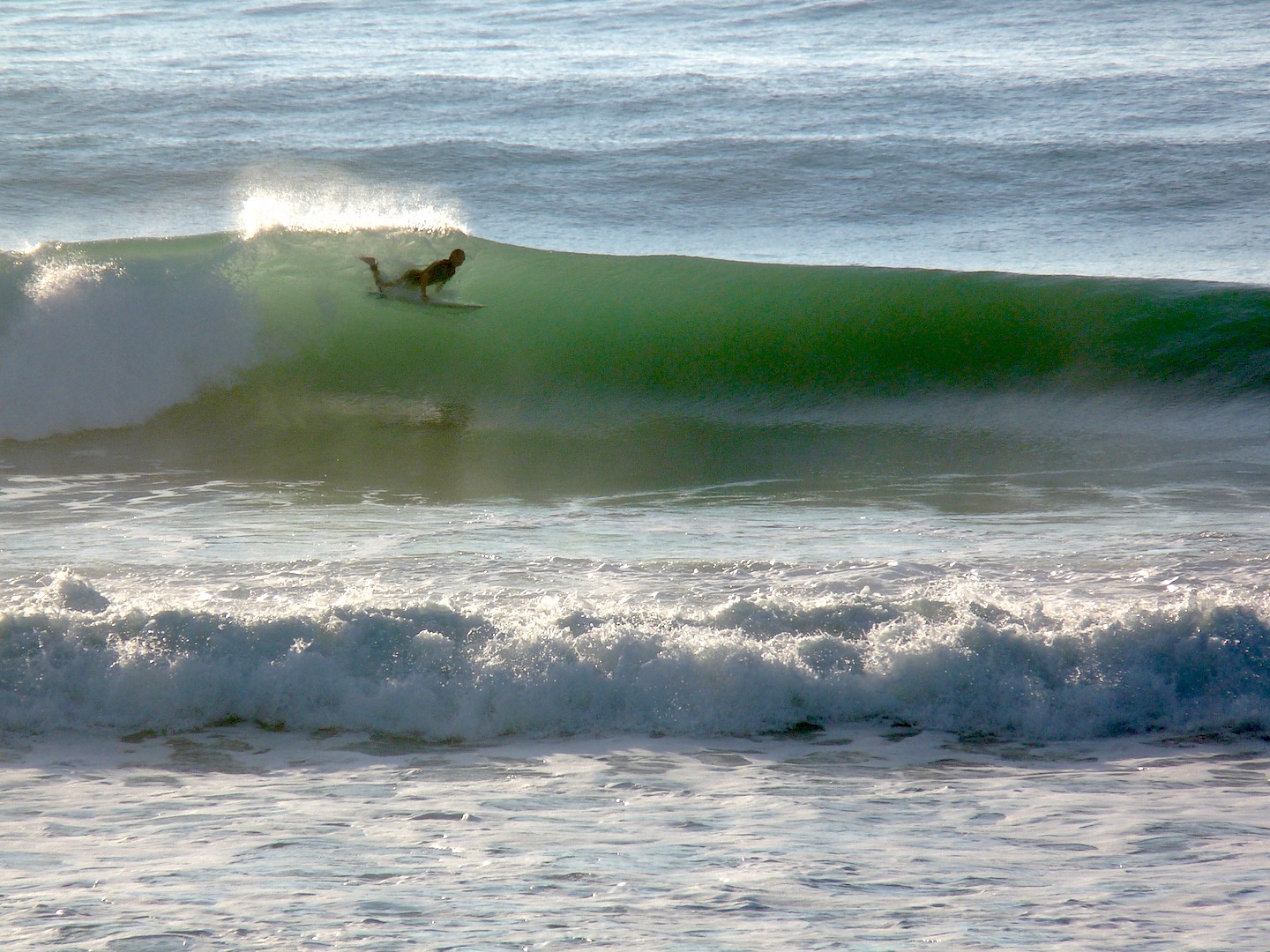 Pines again, Wainui Beach - Pines