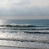 Pines, Wainui Beach - Pines