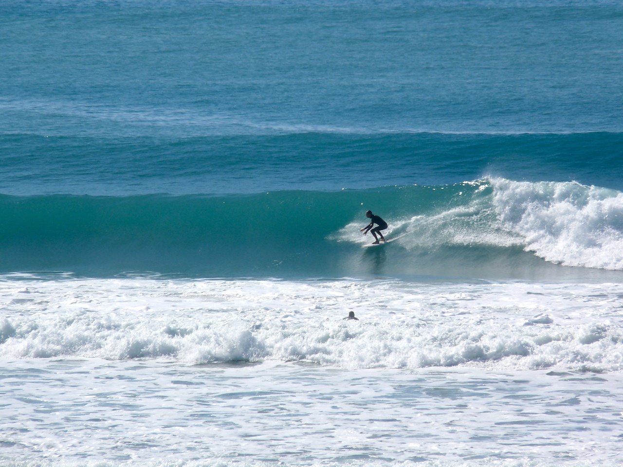 Pines, Wainui Beach - Pines