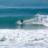 Pines, Wainui Beach - Pines