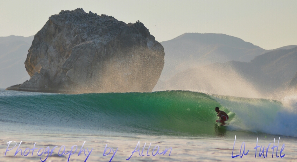 Local turtle, Roca Bruja - Witch's Rock
