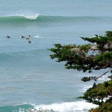 Roost, Makorori Point