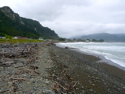 Shoreline, Te Araroa photo