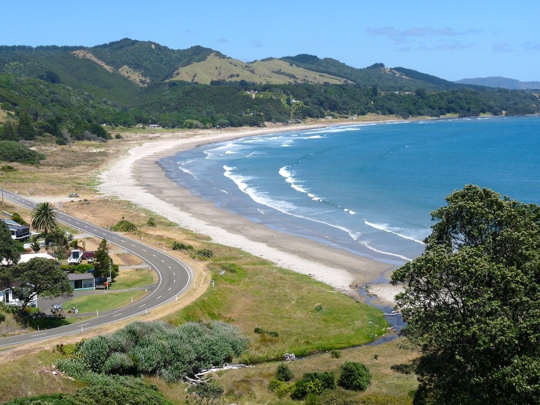 Dribbly shorey, Waihau Bay