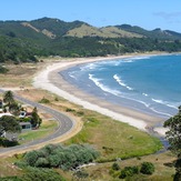 Dribbly shorey, Waihau Bay