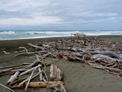 Surf Shack, Waiapu River photo