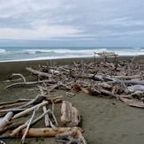 Surf Shack, Waiapu River