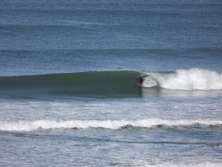 Messanges in winter photo