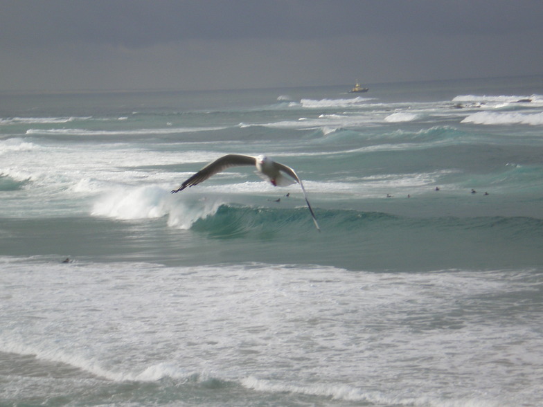 Nobbys Reef surf break